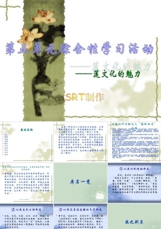 (莲文化的魅力)课件2 八年级语文上册第五单元(综合性学习莲文化的魅力)课件7套人教版 八年级语文上册第五单元(综合性学习莲文化的魅力)课件7套人教版