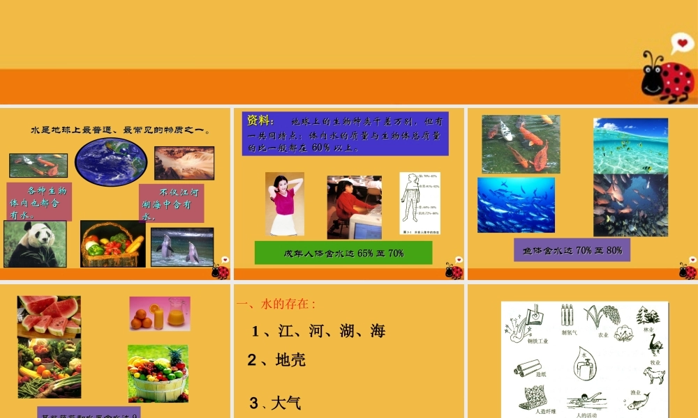 九年级化学 第三单元课题1 水的组成课件 人教新课标版 课件