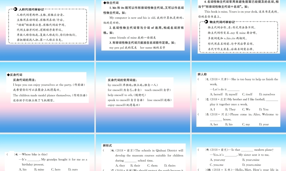 中考英语总复习 第二部分 语法专项突破篇 1基础语法(四)代词习题课件