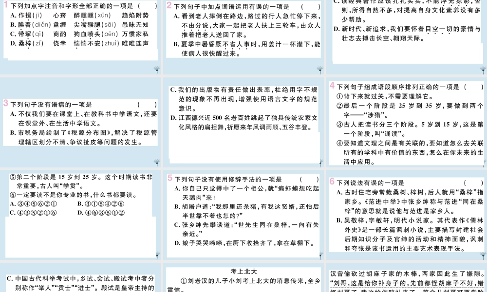 (江西专版)九年级语文上册 第六单元 22 范进中举作业课件 新人教版 课件