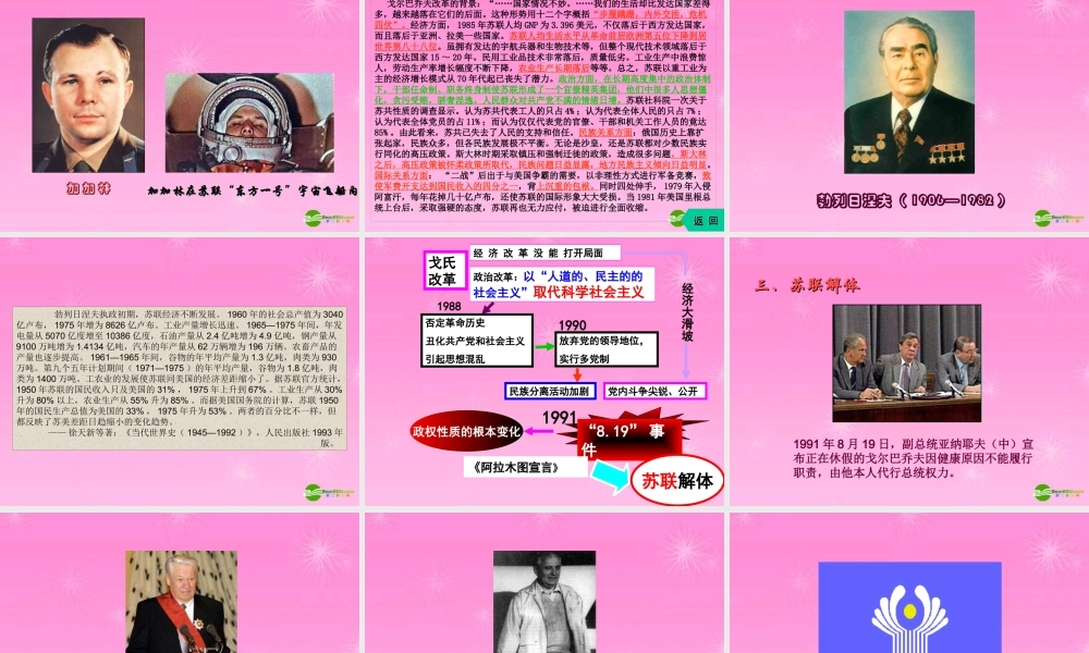 九年级历史上册 苏联的改革和解体课件 人教新课标版 课件