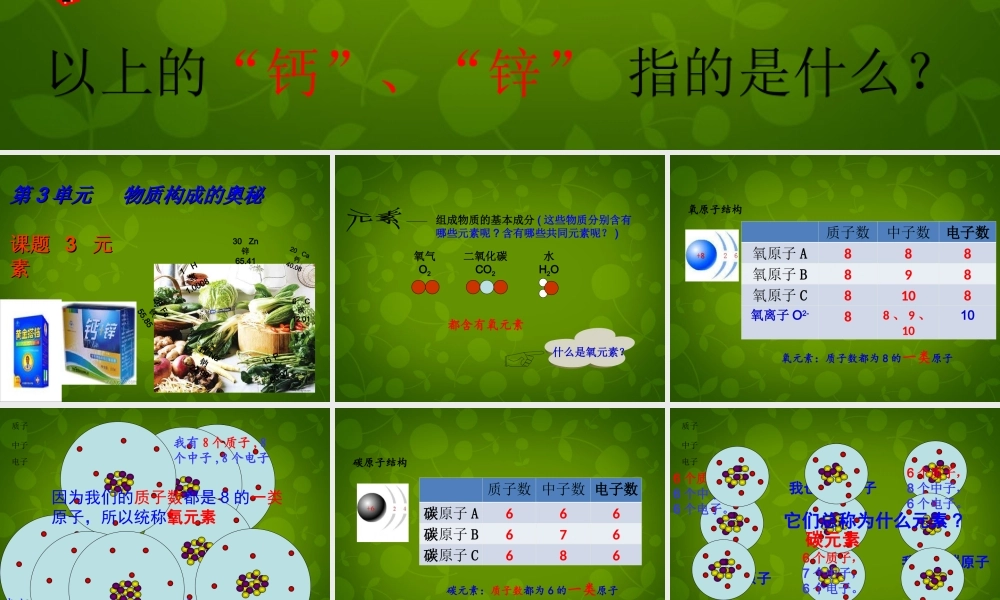九年级化学上册(33 元素)课件 (新版)新人教版 课件