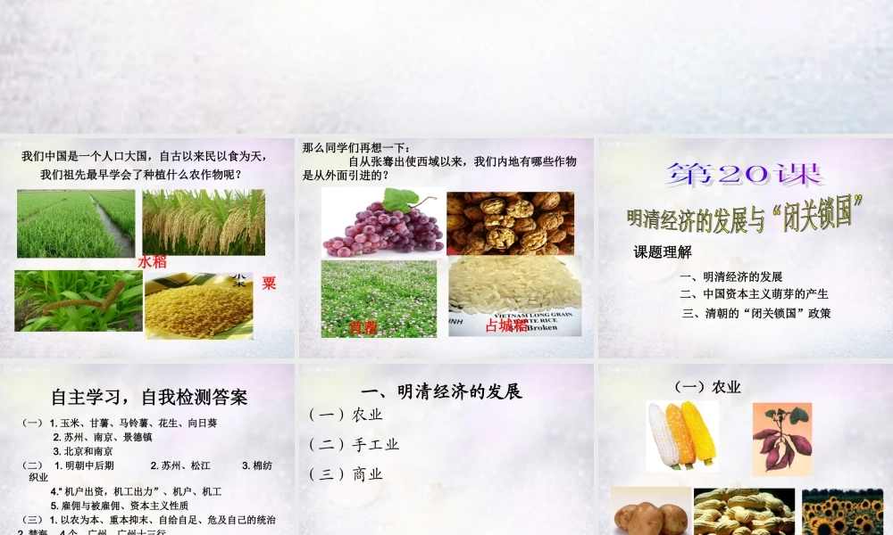 七年级历史下册 第明清经济的发展与 闭关锁课件 新人教版 课件
