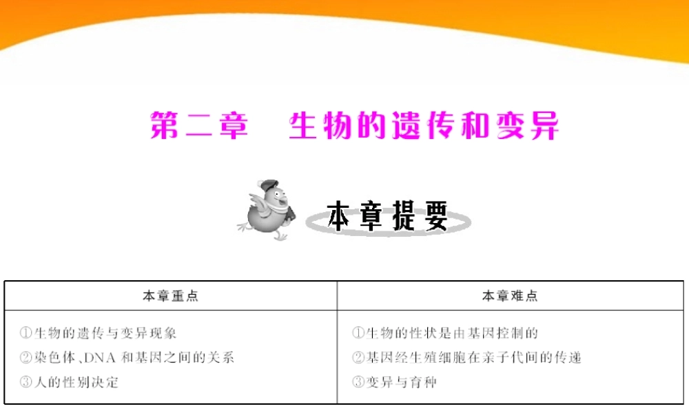 (随堂优化训练)八年级生物下册 第七单元 第二章 第一节 基因控制生物的性状 配套课件 人教新课标版 课件