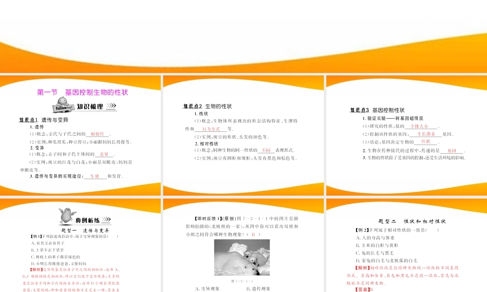 (随堂优化训练)八年级生物下册 第七单元 第二章 第一节 基因控制生物的性状 配套课件 人教新课标版 课件