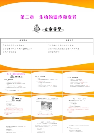 (随堂优化训练)八年级生物下册 第七单元 第二章 第一节 基因控制生物的性状 配套课件 人教新课标版 课件