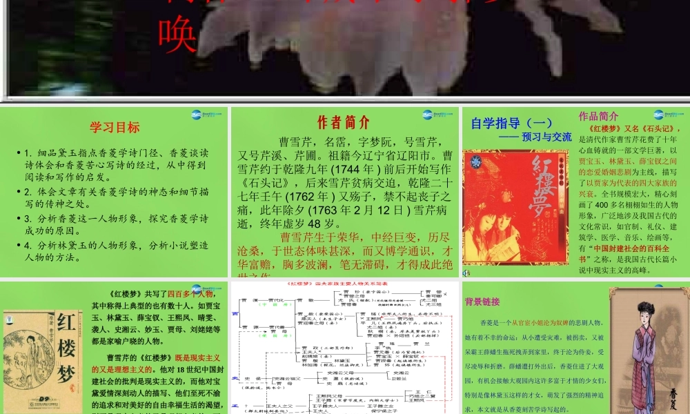 九年九年级语文上册 菱学诗课件 新人教版 课件