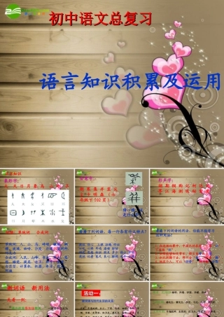 中考语文总复习 语言知识积累及运用课件
