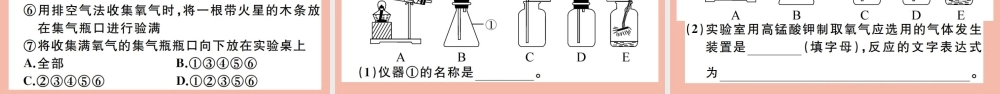 (贵州专版)九年级化学上册 第二单元 我们周围的空气 实验活动1 氧气的实验室制取与性质作业课件 (新版)新人教版 课件