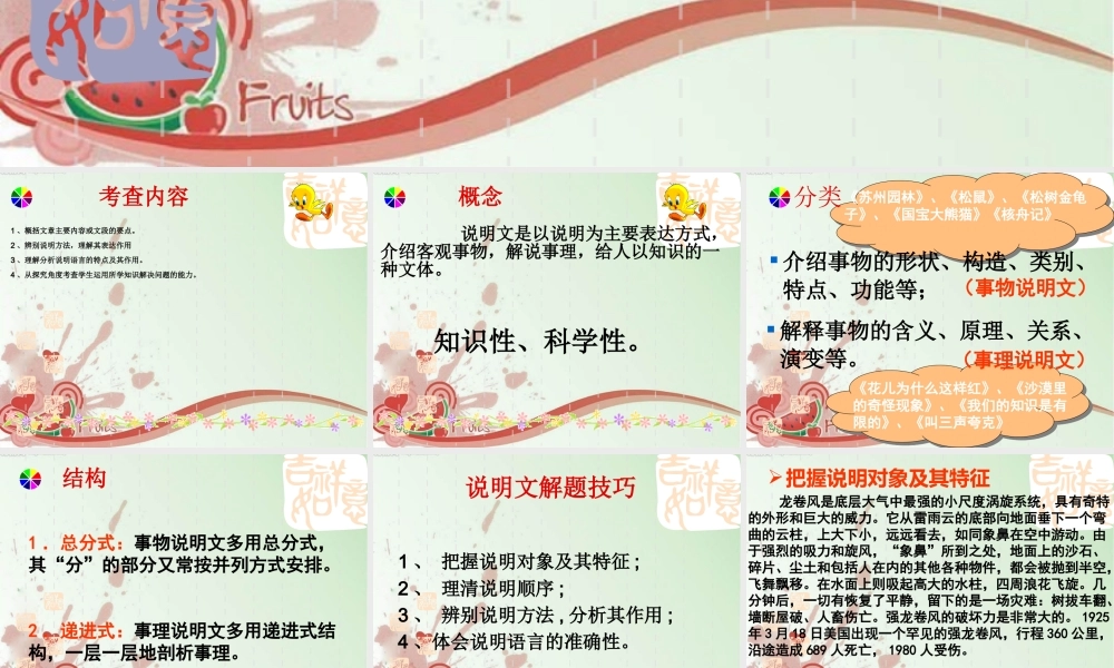 中考语文复习专题课件 说明文阅读 课件