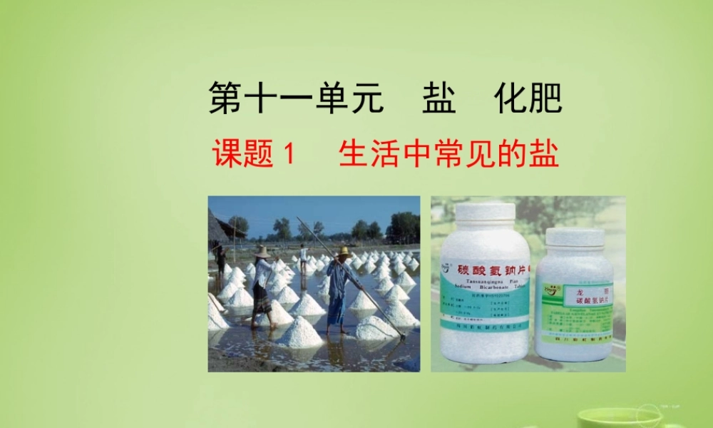 九年级化学下册 第11单元 课题1 生活中常见的盐课件 (新版)新人教版 课件