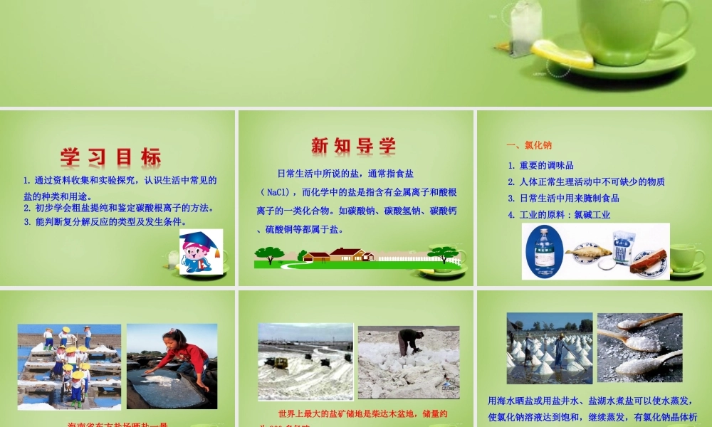 九年级化学下册 第11单元 课题1 生活中常见的盐课件 (新版)新人教版 课件