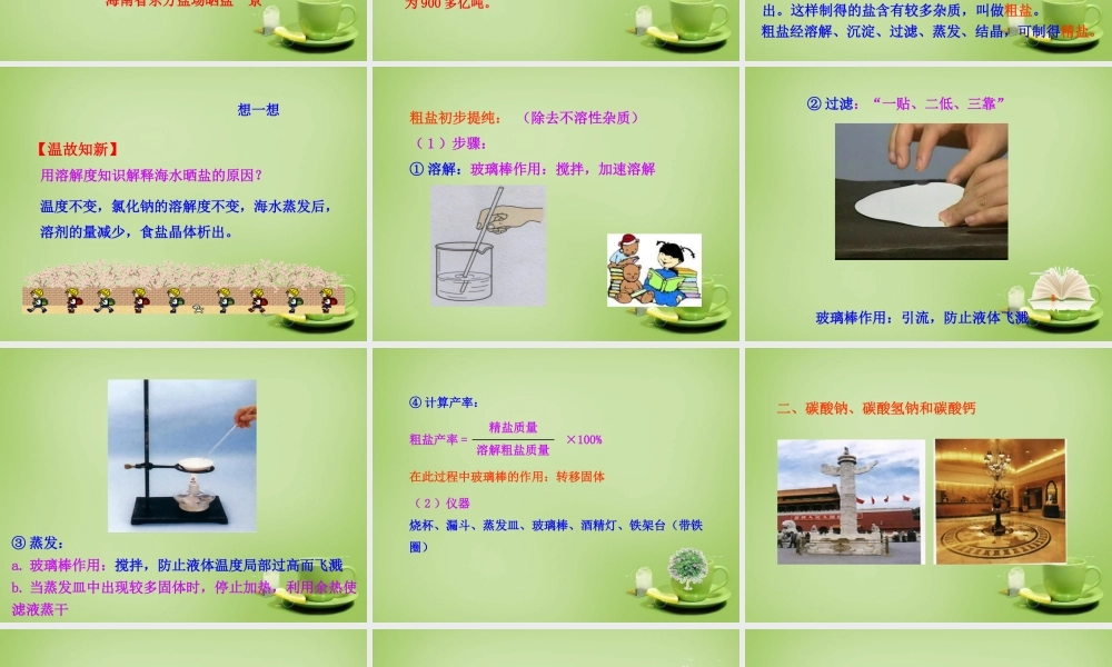 九年级化学下册 第11单元 课题1 生活中常见的盐课件 (新版)新人教版 课件