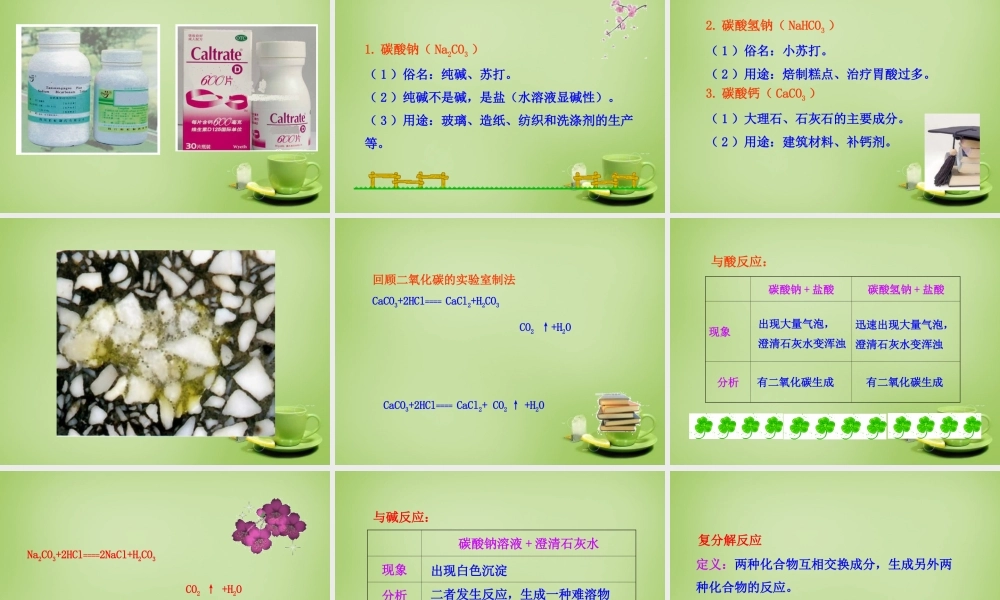 九年级化学下册 第11单元 课题1 生活中常见的盐课件 (新版)新人教版 课件