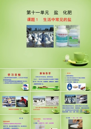 九年级化学下册 第11单元 课题1 生活中常见的盐课件 (新版)新人教版 课件