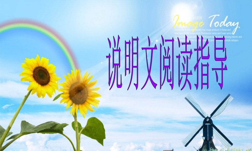 中考语文 说明文阅读解题技巧指导课件