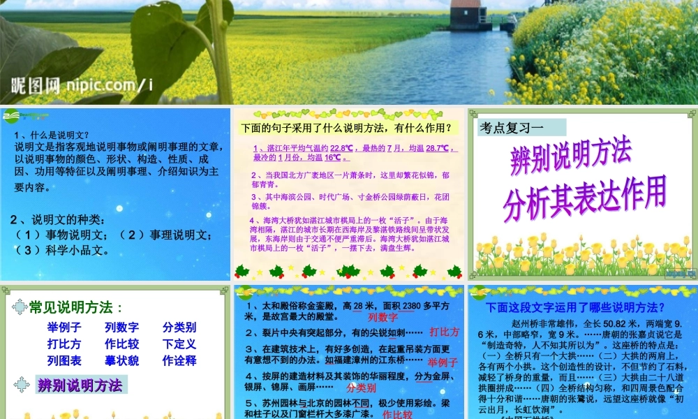 中考语文 说明文阅读解题技巧指导课件