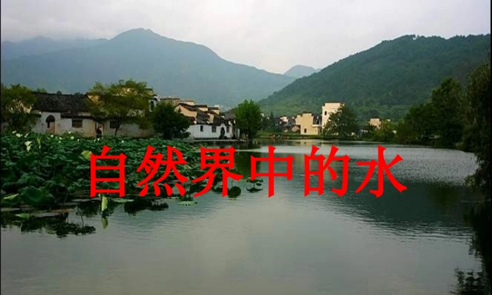 九年级化学全册 2-4 自然界中的水课件 沪教版 课件