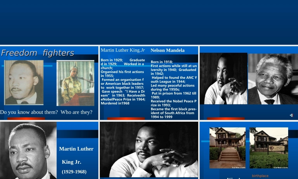 unit14(listeningand  speaking ) 湖北省高二英语下学期Unit14 Freedom fighters全单元课件 人教版 湖北省高二英语下学期Unit14 Freedom fighters全单元课件 人教版