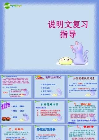 中考语文复习 说明文复习指导课件