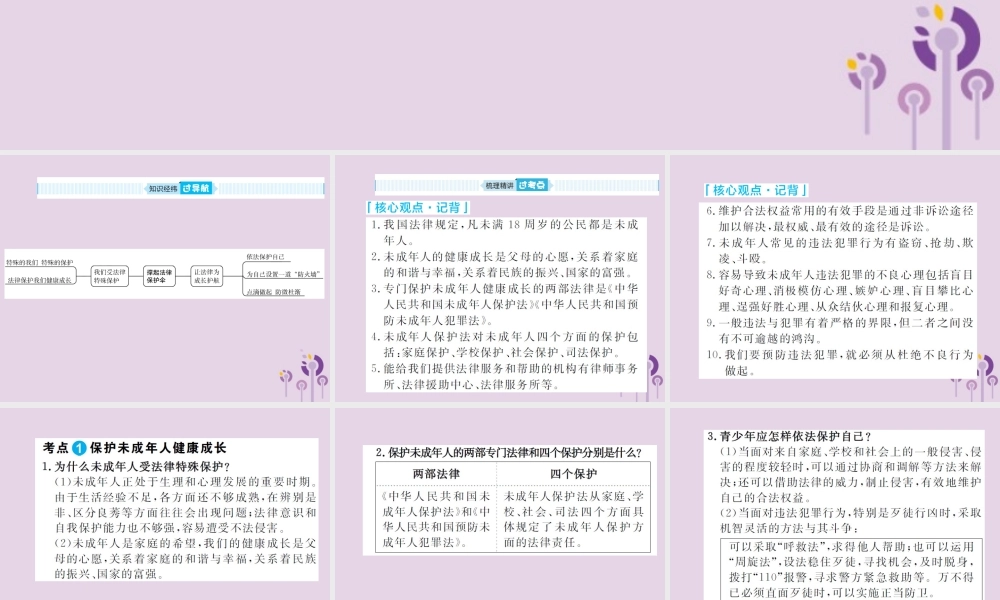 中考道德与法治总复习 七下 第九单元 撑起法律保护伞课件