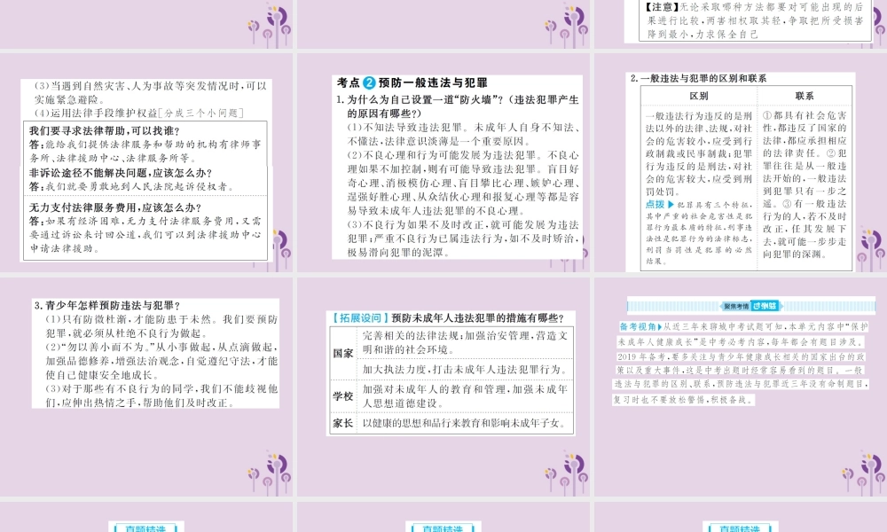 中考道德与法治总复习 七下 第九单元 撑起法律保护伞课件