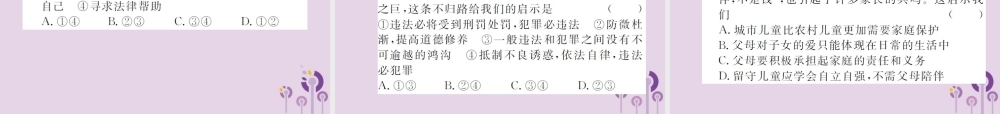 中考道德与法治总复习 七下 第九单元 撑起法律保护伞课件