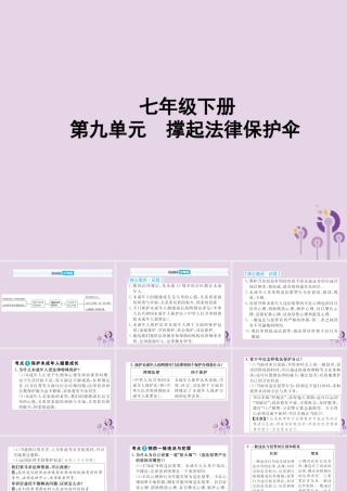 中考道德与法治总复习 七下 第九单元 撑起法律保护伞课件
