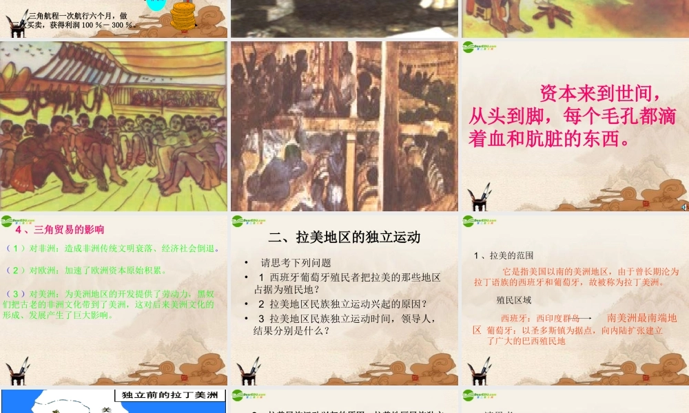 九年级历史上册 第黑奴贸易和拉丁美洲的社会变迁)课件 华师大版 课件