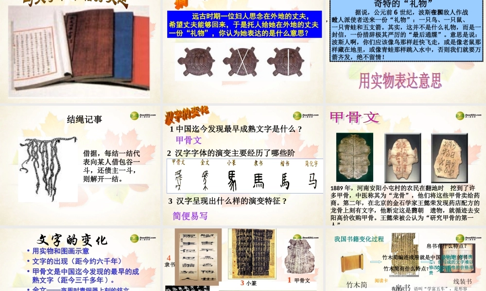 七年级历史与社会下册 第八单元第一课身边故事课件 人教版 课件