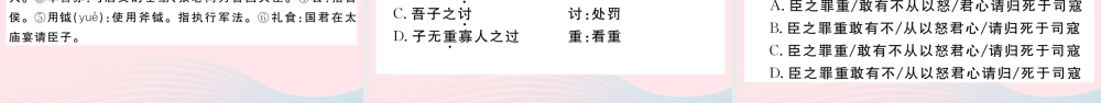 (武汉专版)八年级语文下册 第三单元 11 核舟记习题课件 新人教版 课件