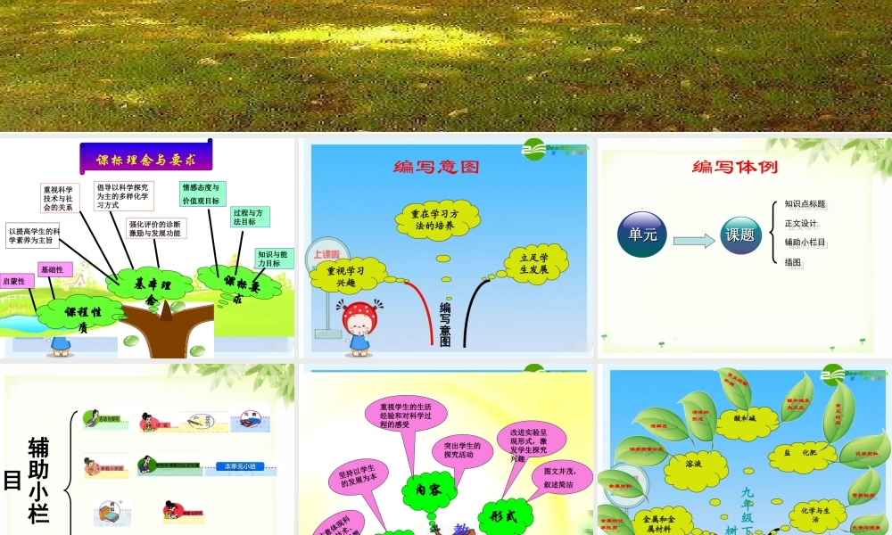 九年级化学下册 教材分析课件 人教新课标版 课件