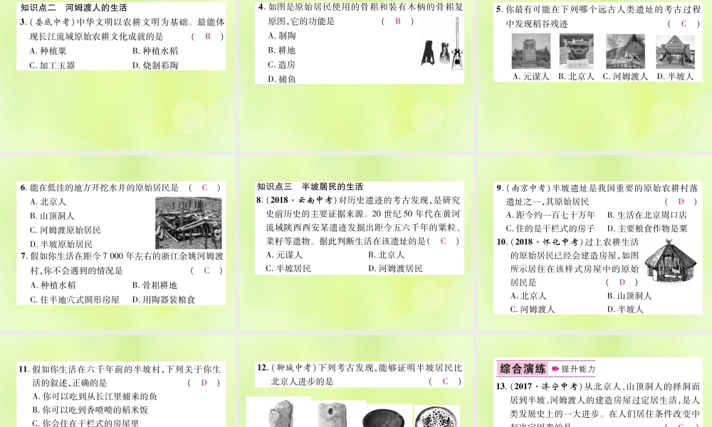 七年级历史上册 第1单元 史前时期：中国境内人类的活动 第2课 原始农耕生活课件 新人教版 课件