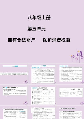 中考道德与法治总复习 八上 第五单元 拥有合法财产 保护消费权益课件