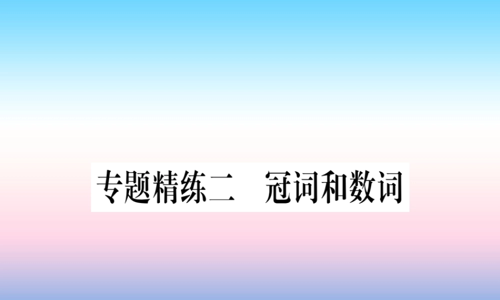中考英语准点备考 专题精练二 冠词和数词课件