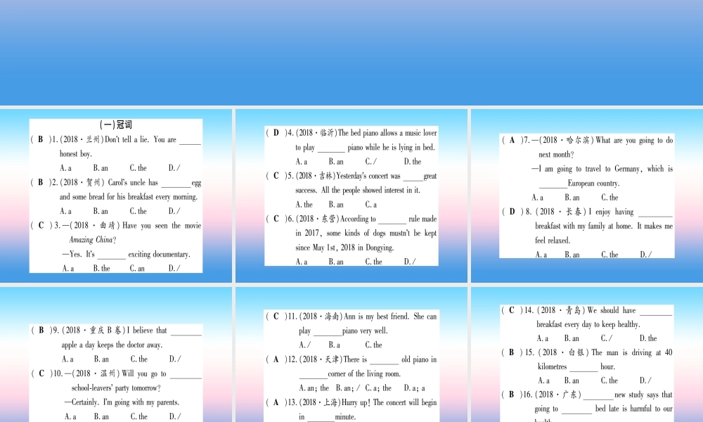 中考英语准点备考 专题精练二 冠词和数词课件