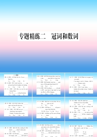 中考英语准点备考 专题精练二 冠词和数词课件