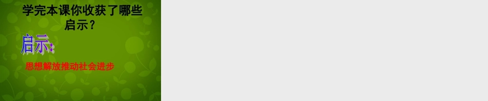 九年级历史上册 22 引领时代的思考课件 北师大版 课件