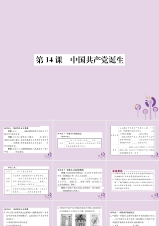 (河南专版)八年级历史上册 第四单元 新民主主义革命的开始 第14课 中国共产党诞生课件 新人教版 课件