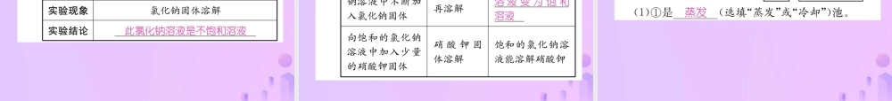 九年级化学下册 第9单元 溶液 课题2 溶解度 第1课时 饱和溶液和不饱和溶液作业课件 (新版)新人教版 课件