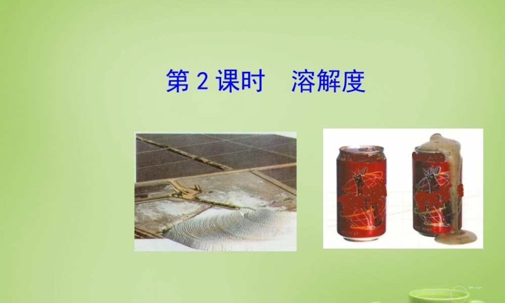 九年级化学下册 第9单元 课题2 溶解度 第2课时 溶解度课件 (新版)新人教版 课件