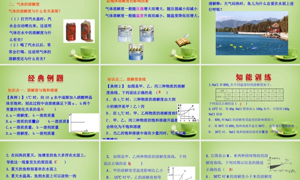 九年级化学下册 第9单元 课题2 溶解度 第2课时 溶解度课件 (新版)新人教版 课件