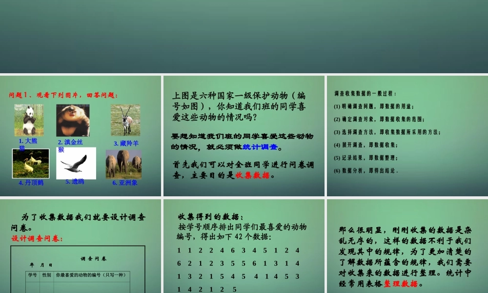 七年级数学上册 6.1 数据的收集课件 (新版)北师大版 课件