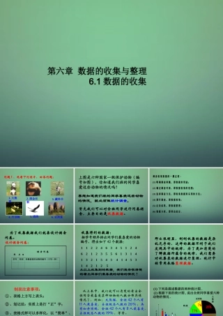 七年级数学上册 6.1 数据的收集课件 (新版)北师大版 课件