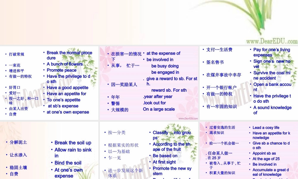 Unit4二 高三英语暑期补课Unit4课件[整理两套]新课标 人教版 高三英语暑期补课Unit4课件[整理两套]新课标 人教版