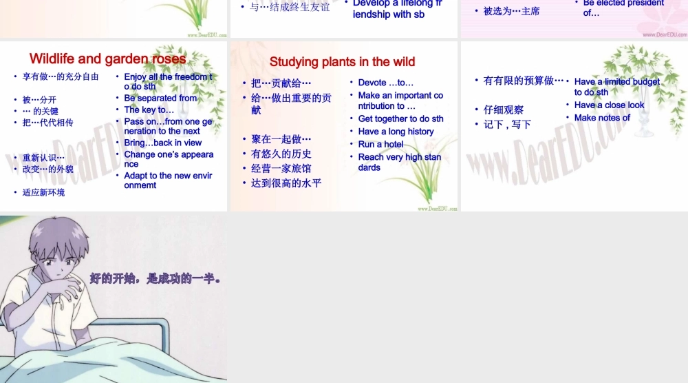 Unit4二 高三英语暑期补课Unit4课件[整理两套]新课标 人教版 高三英语暑期补课Unit4课件[整理两套]新课标 人教版