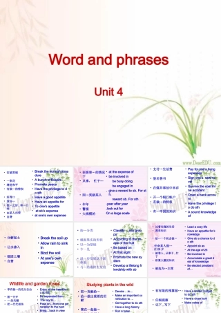 Unit4二 高三英语暑期补课Unit4课件[整理两套]新课标 人教版 高三英语暑期补课Unit4课件[整理两套]新课标 人教版