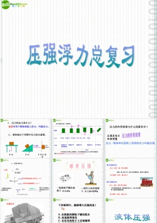 中考物理专题复习(压强和浮力)课件 人教新课标版 课件