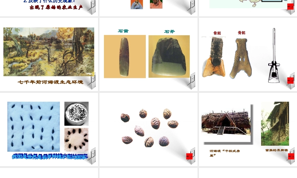 七年级历史上册 第2课原始农耕生活课件 人教新课标版 课件