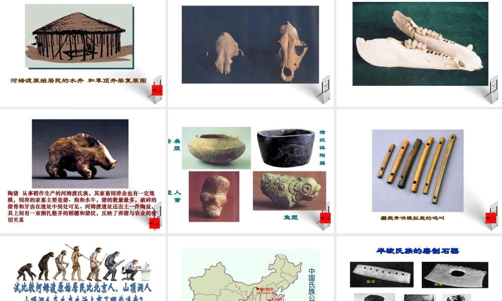 七年级历史上册 第2课原始农耕生活课件 人教新课标版 课件